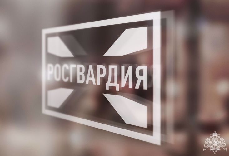 В Магасе росгвардейцы защитили детей от стаи бродячих собак