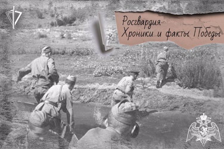 80 лет назад воины-чекисты прорвали «Голубую линию» в ходе битвы за Кавказ 