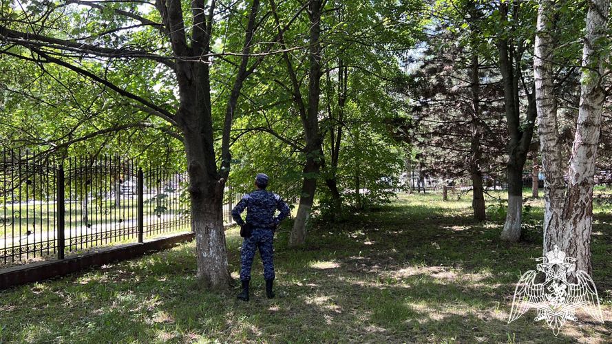 В Ингушетии росгвардейцы обеспечили правопорядок в День России 