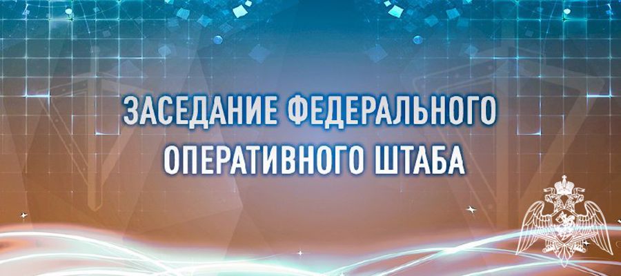 Генерал Армии Виктор Золотов принял участие в заседании Федерального оперативного штаба