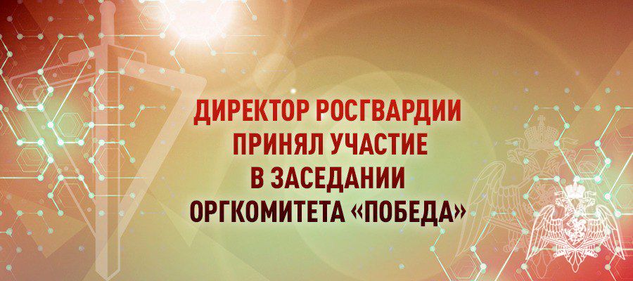 Генерал Армии Виктор Золотов принял участие в заседании российского организационного комитета "Победа"