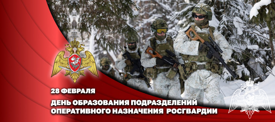 Генерал-полковник Владислав Ершов поздравил личный состав и ветеранов частей оперативного назначения с профессиональным праздником
