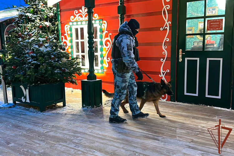 Росгвардия обеспечила правопорядок и общественную безопасность в новогоднюю ночь