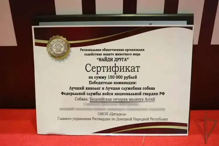 Кинологи и служебные собаки Росгвардии удостоены Всероссийской премии профессионального мастерства (видео)