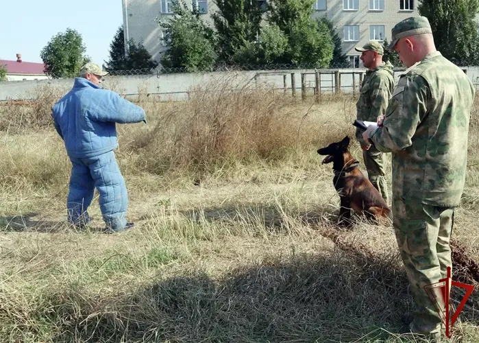 Определились лучшие кинологи Северо-Кавказского округа Росгвардии  
